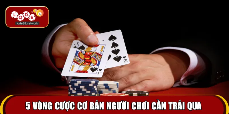 5 vòng cược cơ bản người chơi cần trải qua