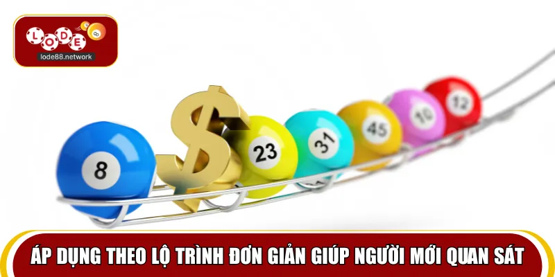 Áp dụng theo lộ trình đơn giản giúp người mới quan sát